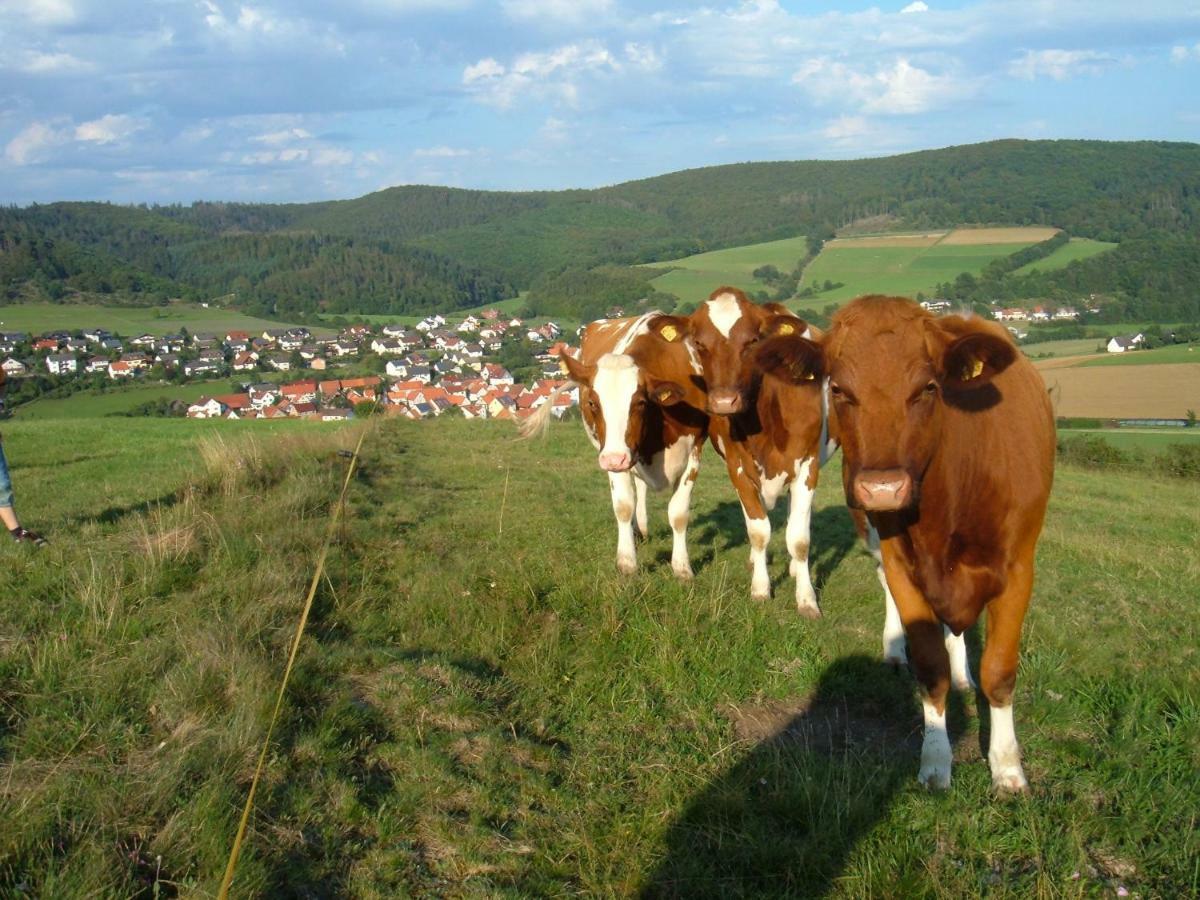 Ferienwohnungen Finke Frankenau Exterior photo